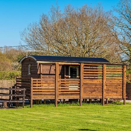 Hillside View Shepherds Hut - Ockeridge Rural Retreats Little Witley Exteriér fotografie