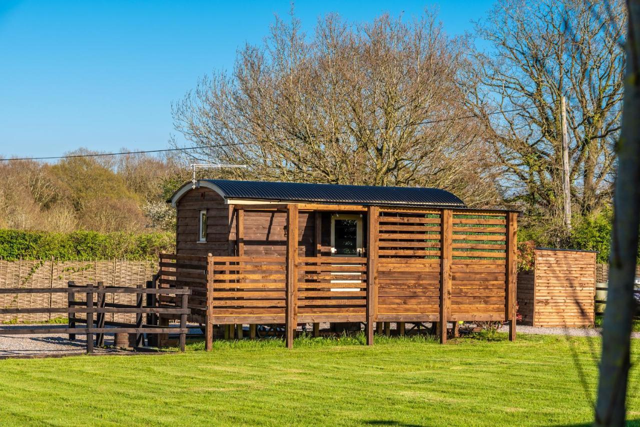 Hillside View Shepherds Hut - Ockeridge Rural Retreats Little Witley Exteriér fotografie